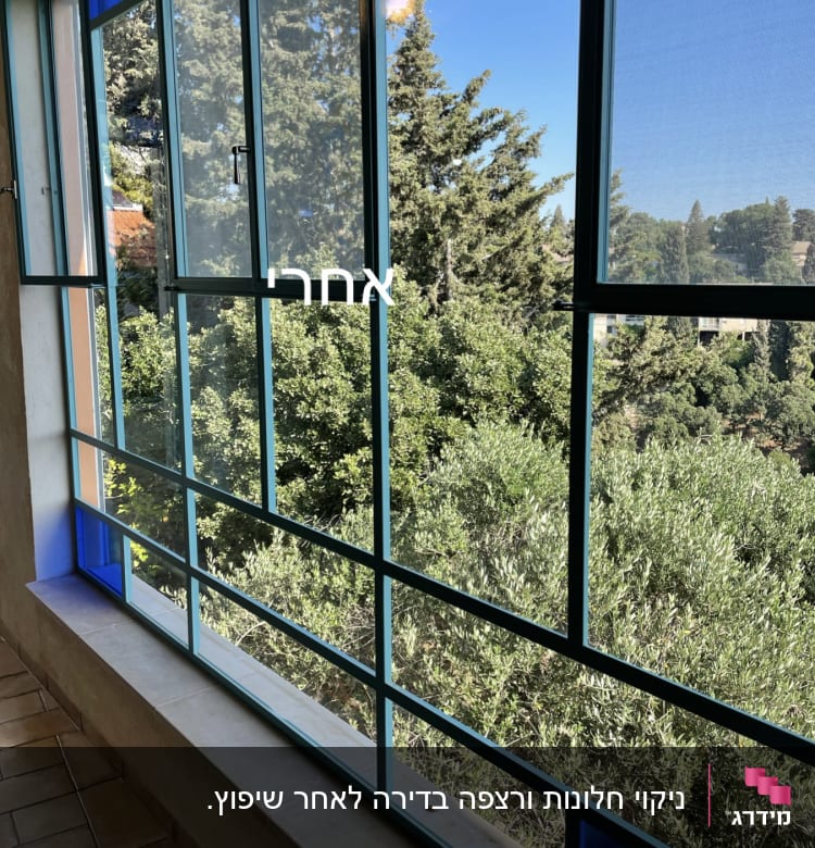 חלון נקי עם מסגרת כחולה ונוף עצים